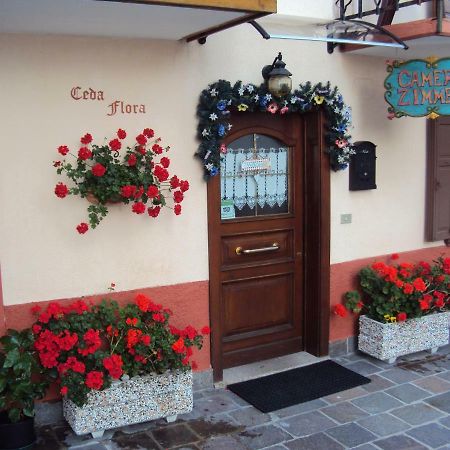 La Casa Di Beppe Appartamento E Camere Danta المظهر الخارجي الصورة