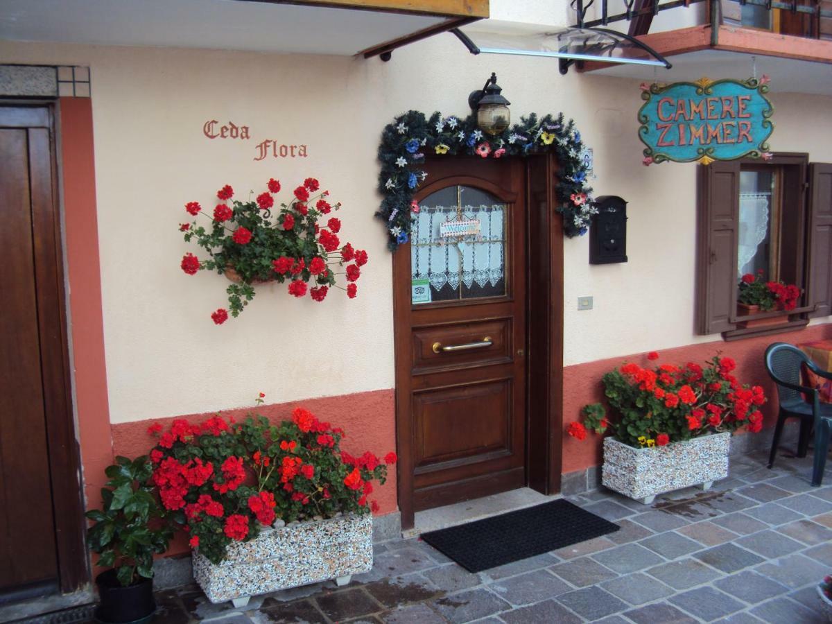La Casa Di Beppe Appartamento E Camere Danta المظهر الخارجي الصورة